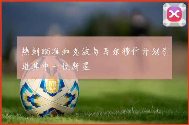 热刺瞄准加克波与马尔穆什计划引进其中一位新星