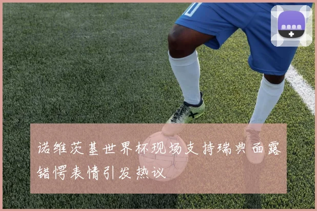 诺维茨基世界杯现场支持瑞典面露错愕表情引发热议